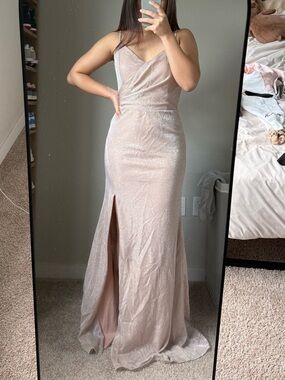 NEW Glittering Dusty Rose Gown
